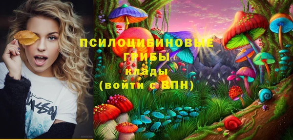 МДПВ Алзамай
