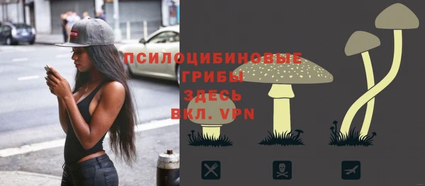 молекула духа Алексин