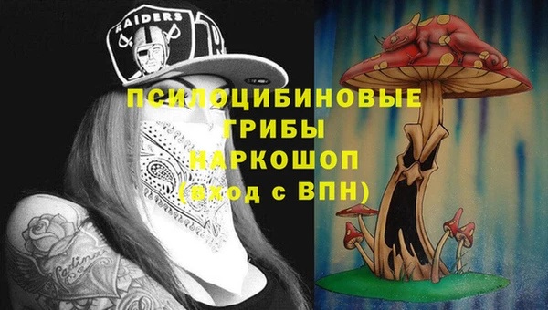 молекула духа Алексин