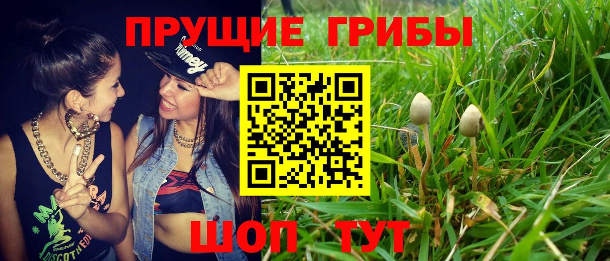 Псилоцибиновые грибы Psilocybe  Псилоцибиновые грибы Magic Shrooms  Вход с VPN  Тулун 